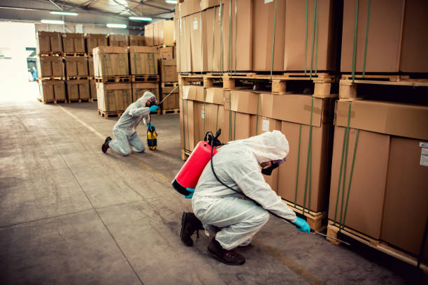 Best Wasp Removal Services  in Brook Park, OH