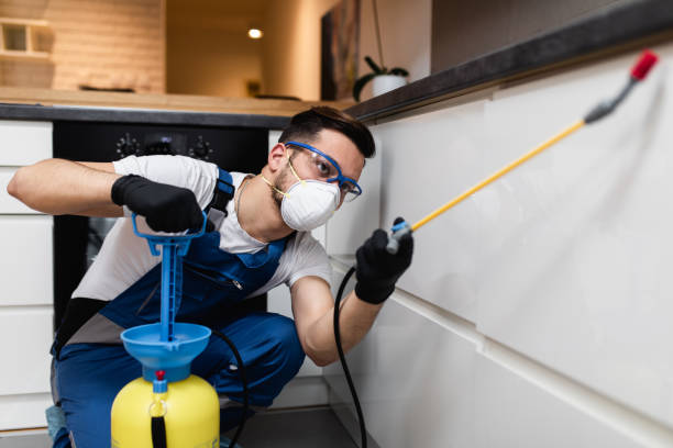 Best Commercial Pest Control Services  in Brook Park, OH