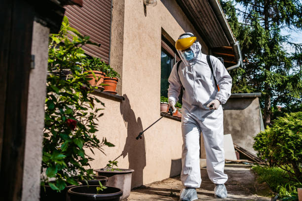 Best Affordable Pest Control Services  in Brook Park, OH