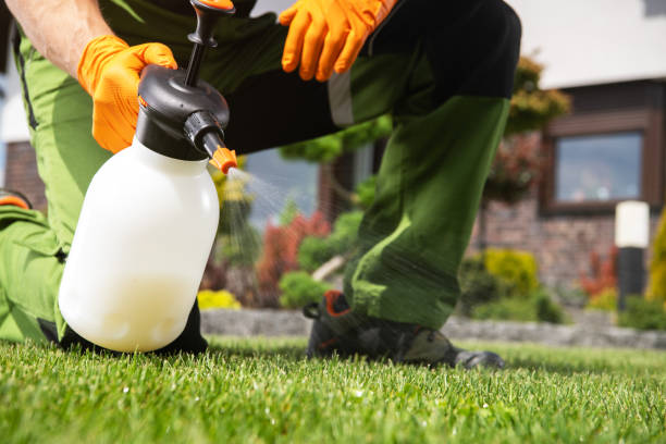 Pest Control for Restaurants in Brook Park, OH
